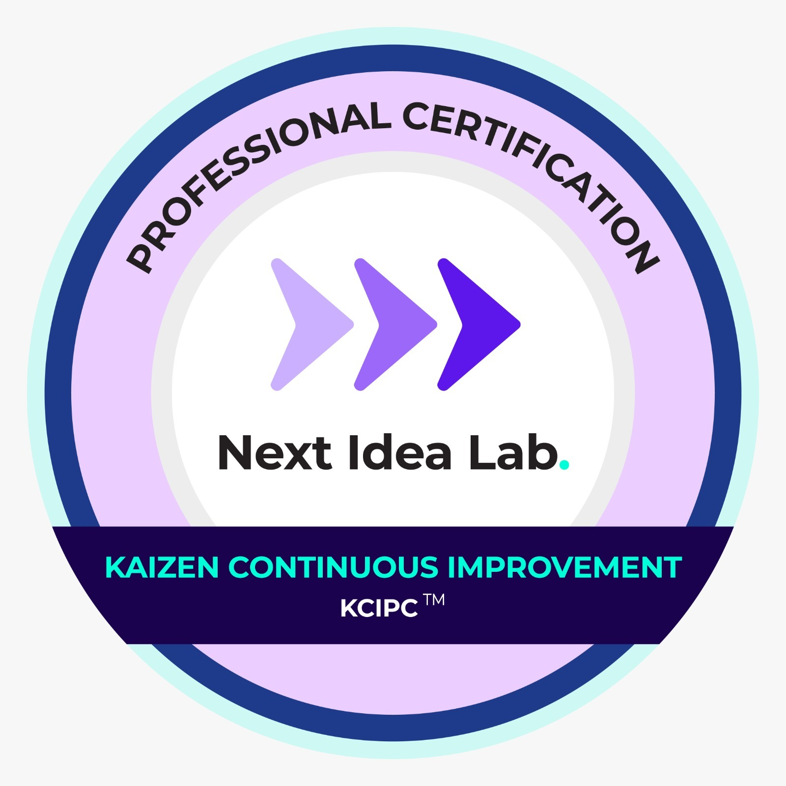 Kaizen Continuous Improvement Professional Certification