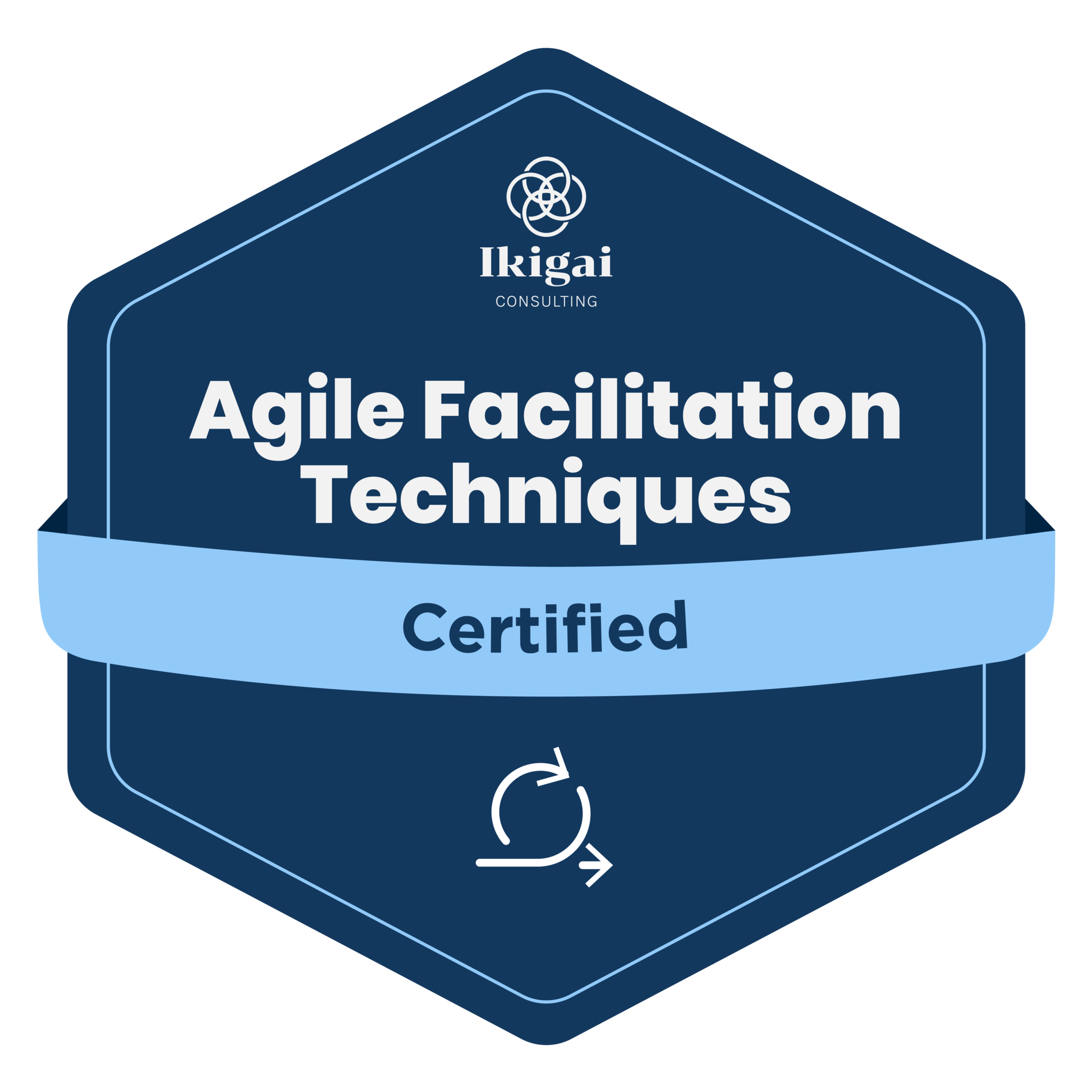 Agile Facilitation Techniques