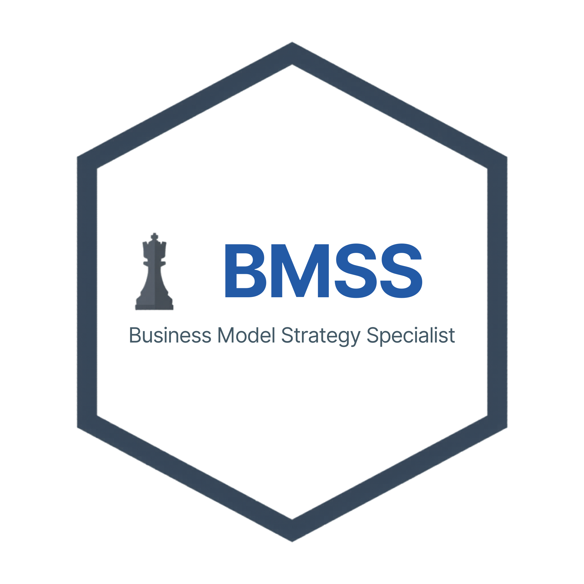 Business Model Strategy Specialist